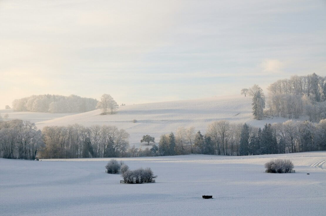 Mindfulness advent calendar (winter scene)